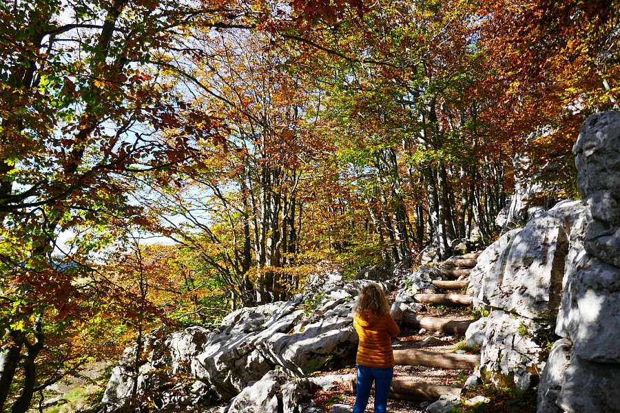 Velebit Velebit